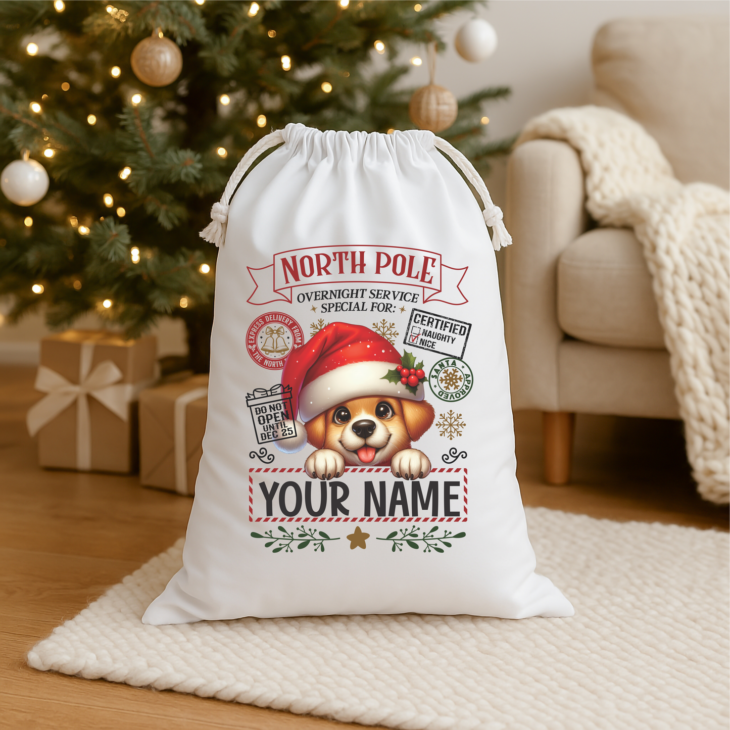 Character/Animal Santa Sack